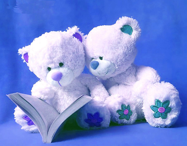 Two white teddy bears reading free wallpaper for desktop - medium preview image