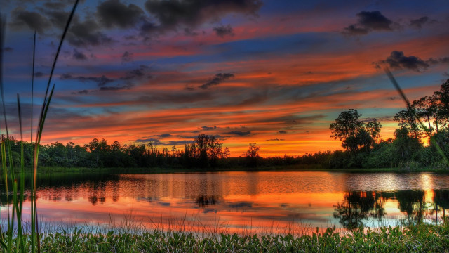 Sunset lake trees grass clouds free wallpaper for desktop - medium preview image