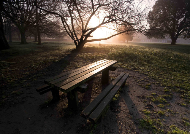 Wooden bench park sunset trees free wallpaper for desktop - medium preview image