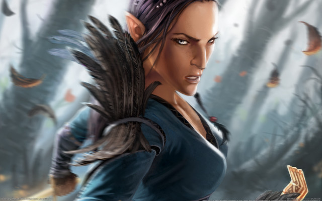 Woman bird forest elf feathers free wallpaper for desktop - medium preview image