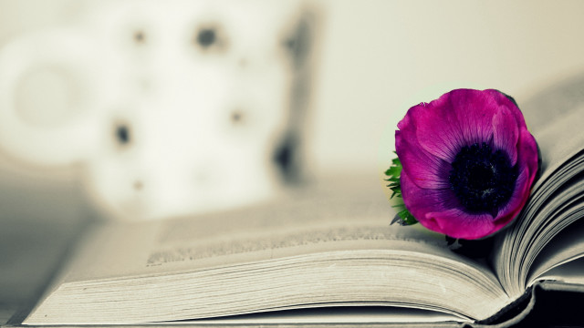 Purple flower open book white free wallpaper for desktop - medium preview image