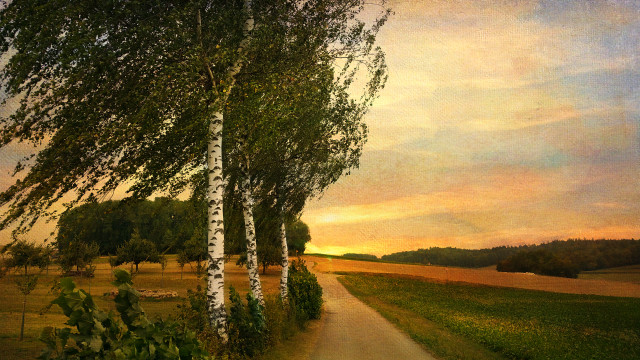 Path field trees sunset clouds free wallpaper for desktop - medium preview image