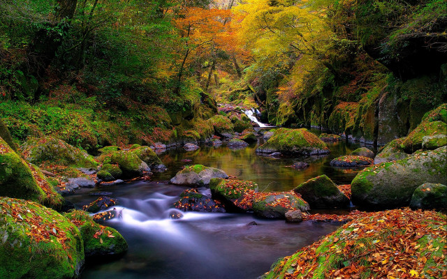 Autumn forest stream waterfall nature free wallpaper for desktop - medium preview image