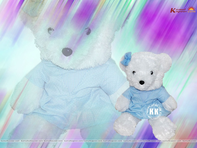 Two stuffed animals rainbow polar free wallpaper for desktop - medium preview image
