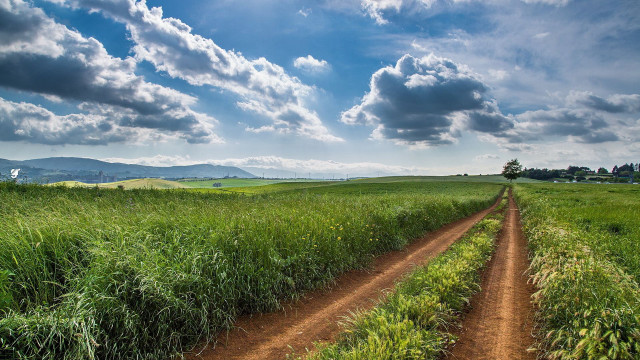 Dirt road field clouds sky free wallpaper for desktop - medium preview image