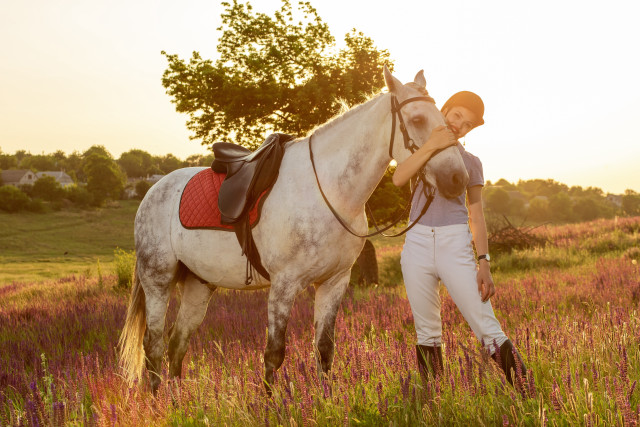 Woman horse field flower sunset free wallpaper for desktop - medium preview image