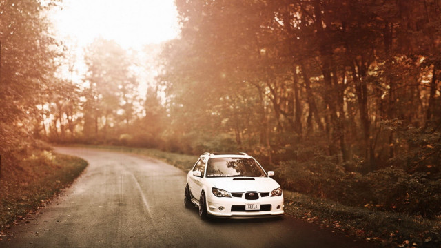 White car autumn forest city free wallpaper for desktop - medium preview image