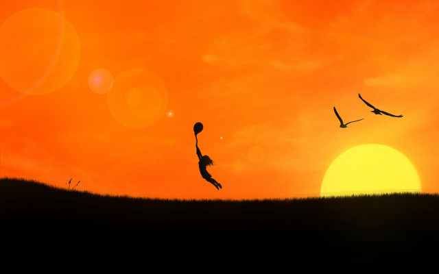 Kite flying sunset bird matte free wallpaper for desktop - medium preview image