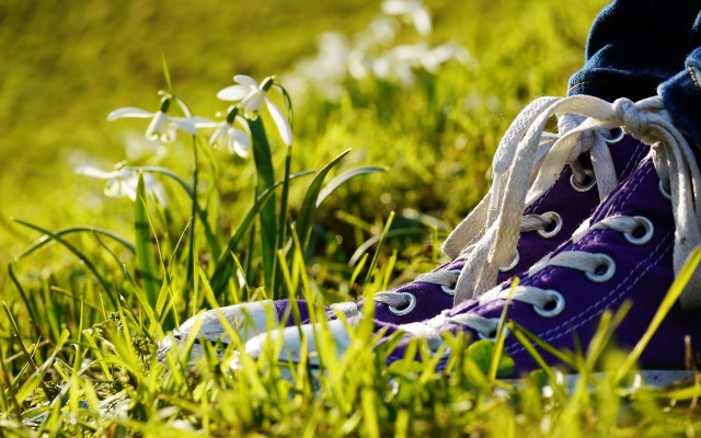 Purple sneakers grass flowers bokeh free wallpaper for desktop - medium preview image