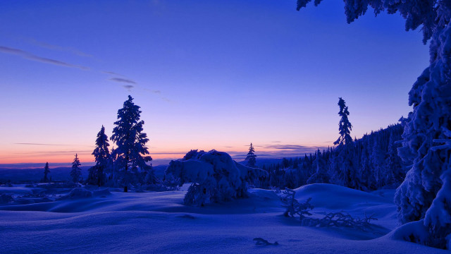 Snowy landscape trees sunset blue free wallpaper for desktop - medium preview image