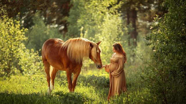 Woman horse forest autumn cinematic free wallpaper for desktop - medium preview image
