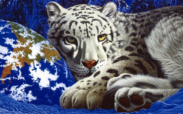 White tiger blue blanket ecological free wallpaper for desktop - medium preview image