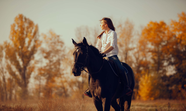 Woman horse field autumn fire free wallpaper for desktop - medium preview image