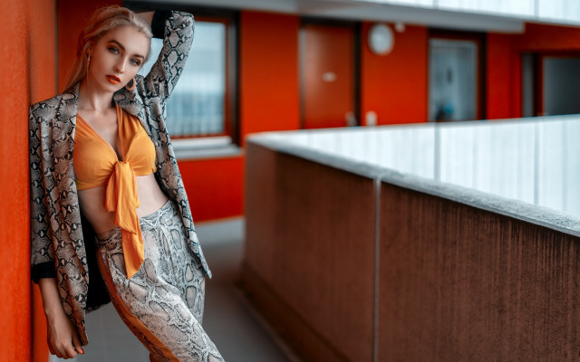 Yellow top snake skin jacket #2 free wallpaper for desktop - medium preview image