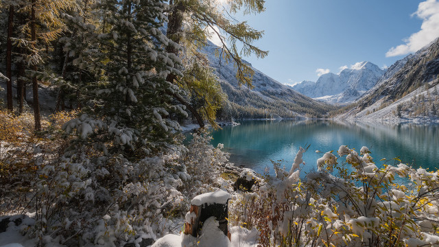 Snowy mountain lake winter forest free wallpaper for desktop - medium preview image