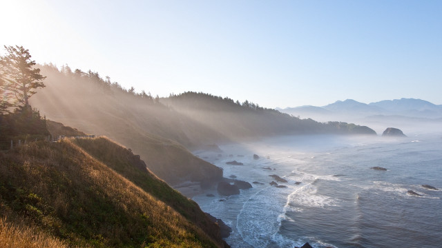 Ocean mountains morning fog trees free wallpaper for desktop - medium preview image