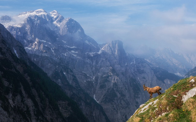 Goat mountain range clouds sky free wallpaper for desktop - medium preview image