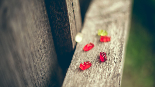 Wooden bench gummy bears green free wallpaper for desktop - medium preview image