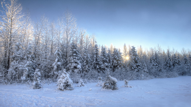 Snowy landscape trees sunbeam clouds free wallpaper for desktop - medium preview image