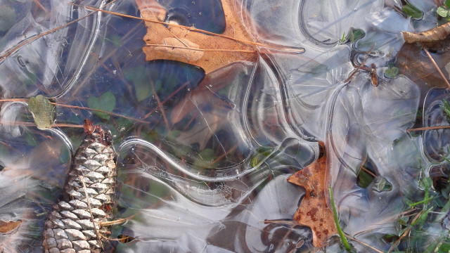 Leaf floating water ecological art free wallpaper for desktop - medium preview image