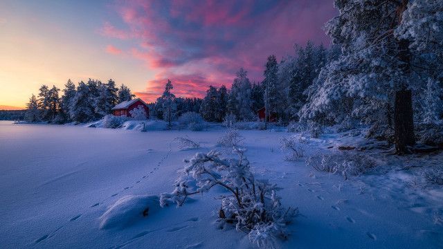 Snowy red house trees pink free wallpaper for desktop - medium preview image