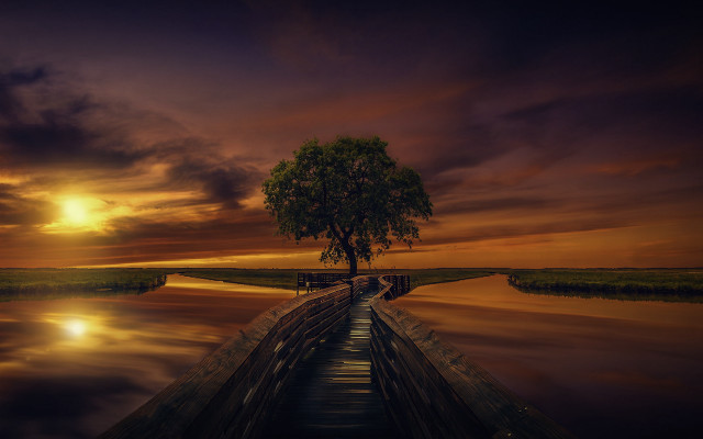 Tree dock sunset reflection water free wallpaper for desktop - medium preview image