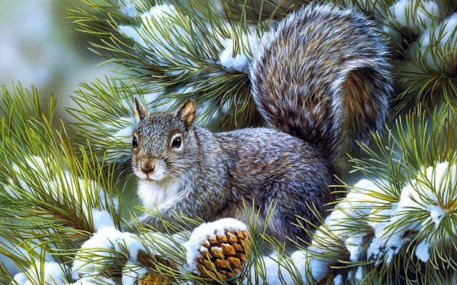 Squirrel pine snow branches pinecones free wallpaper for desktop - medium preview image