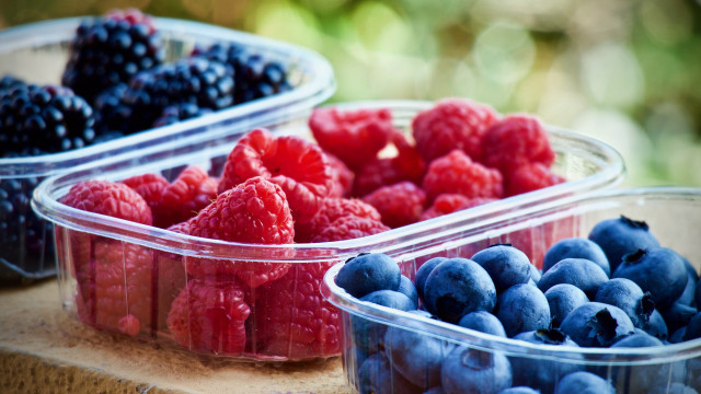 Berries blueberries plastic containers closeup free wallpaper for desktop - medium preview image