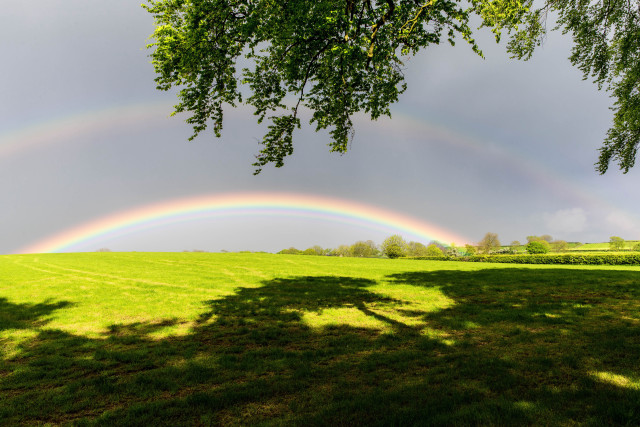 Rainbow green field trees dark free wallpaper for desktop - medium preview image