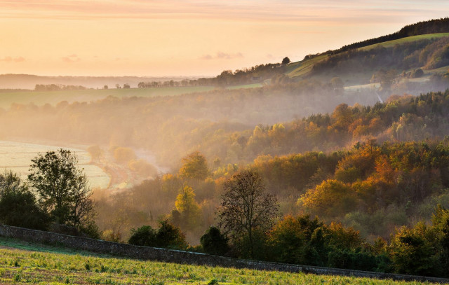 Autumn valley fog sunset forest free wallpaper for desktop - medium preview image