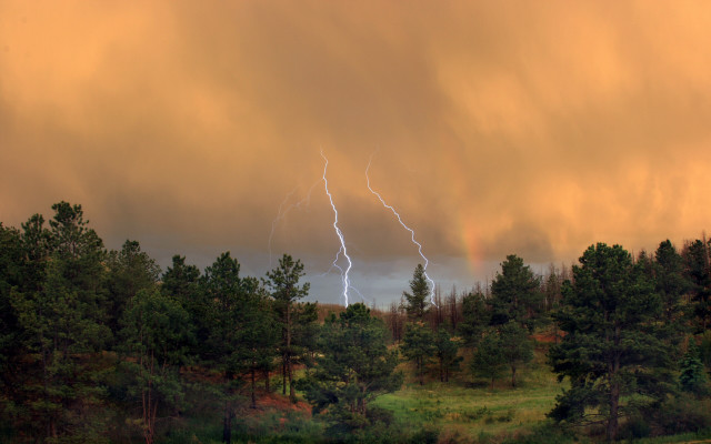 Large cloud lightning forest thunderstorm free wallpaper for desktop - medium preview image