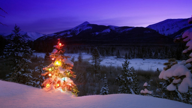 Christmas tree lit snow mountains free wallpaper for desktop - medium preview image