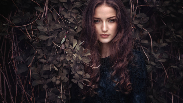 Woman longhair bush leaves portrait free wallpaper for desktop - medium preview image