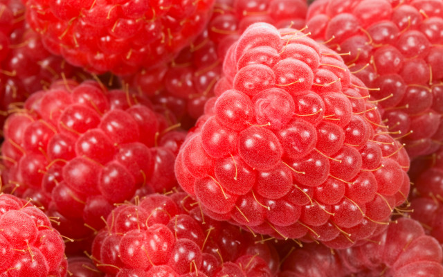 Raspberries water droplets macro photorealism #4 free wallpaper for desktop - medium preview image