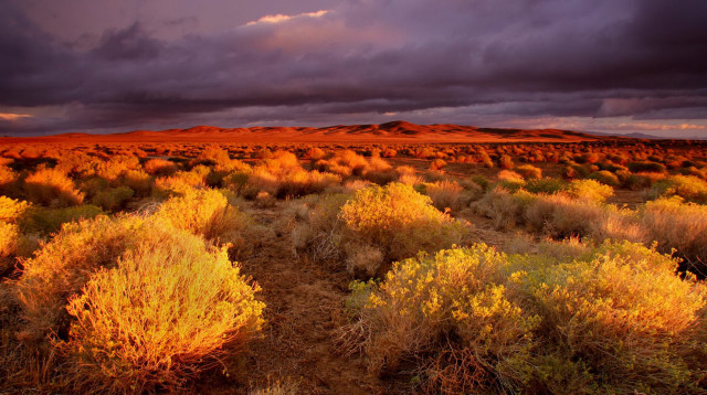 Desert bushes mountain cloudy sky free wallpaper for desktop - medium preview image