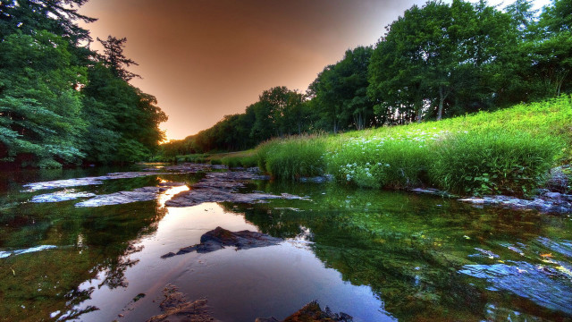 River grassy bank trees sunset free wallpaper for desktop - medium preview image