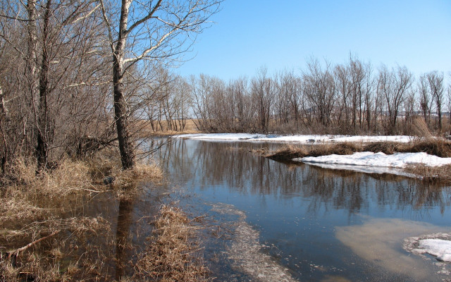 River forest snowy bare trees free wallpaper for desktop - medium preview image