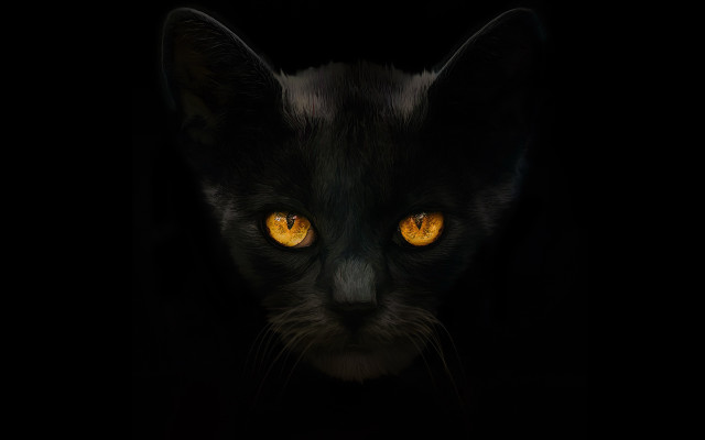 Black cat yellow eyes gothic #5 free wallpaper for desktop - medium preview image