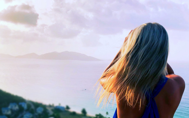 Hilltop ocean mountains bird impressionist free wallpaper for desktop - medium preview image