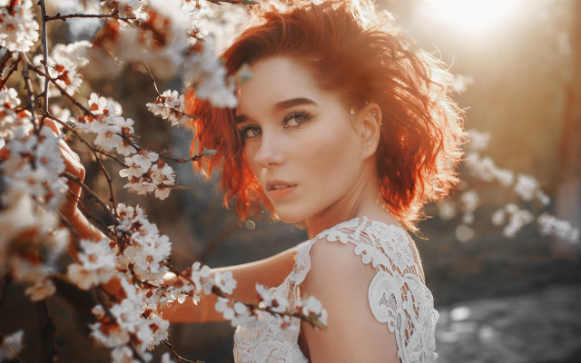 Redhair whiteDress flowerTree sunflare autumn free wallpaper for desktop - medium preview image