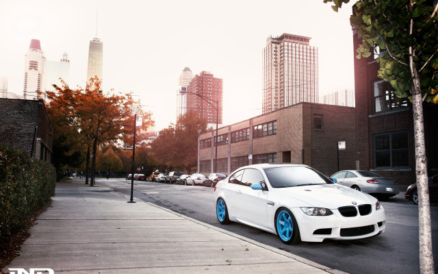 White car road tree city free wallpaper for desktop - medium preview image