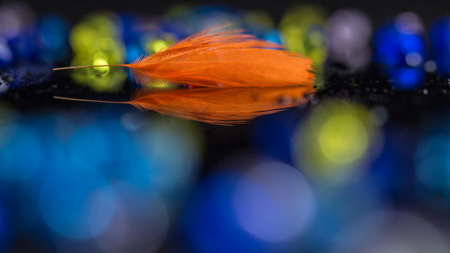 Feather bokeh moon lens flare free wallpaper for desktop - medium preview image