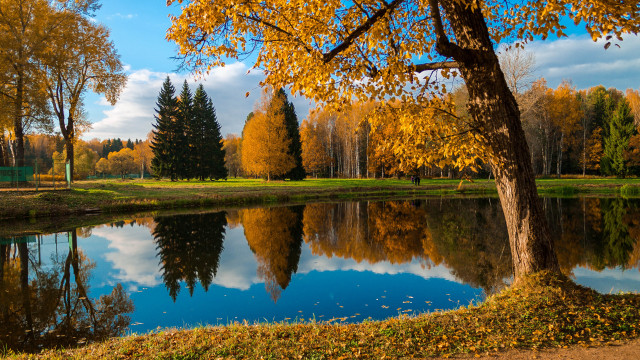 Pond trees autumn leaves clouds free wallpaper for desktop - medium preview image