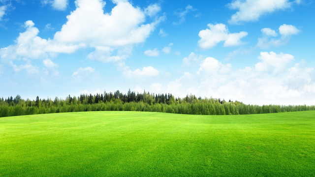 Green field trees blue sky #2 free wallpaper for desktop - medium preview image