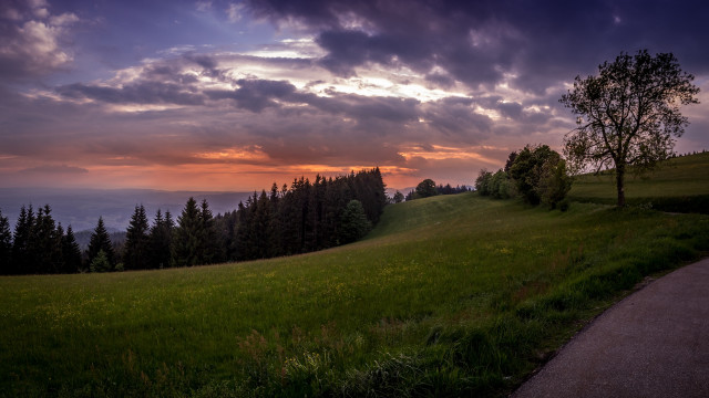 Grassy hill tree path sunset free wallpaper for desktop - medium preview image