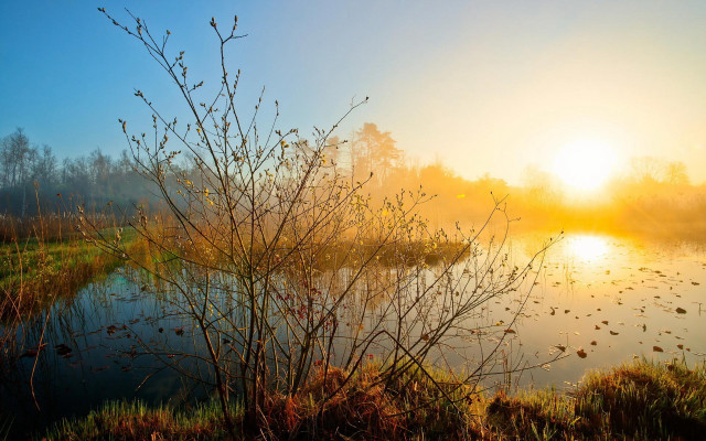 Lake fog sunset trees autumn free wallpaper for desktop - medium preview image