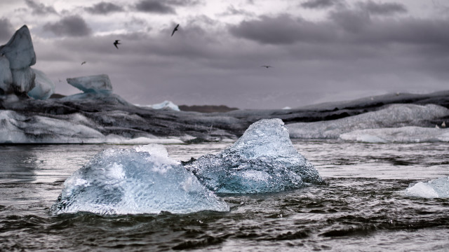 Icebergs glacier birds water matte free wallpaper for desktop - medium preview image