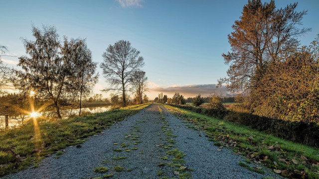 Dirt road grass trees river free wallpaper for desktop - medium preview image