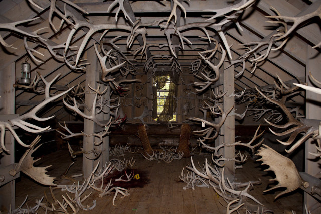 Antler chairs land art puzzle free wallpaper for desktop - medium preview image