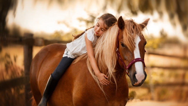 Young girl horse fence tree free wallpaper for desktop - medium preview image